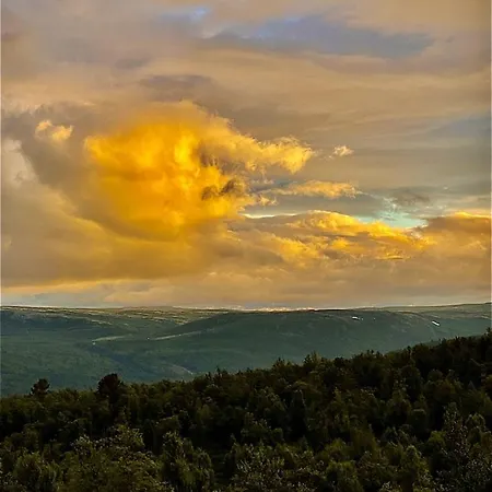New, Cozy, And Comfortable Cabin In Geilo Prázdninový dům Flataker