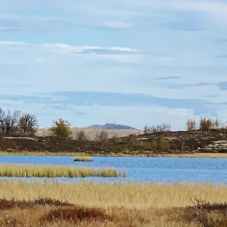 New, Cozy, And Comfortable Cabin In Geilo *