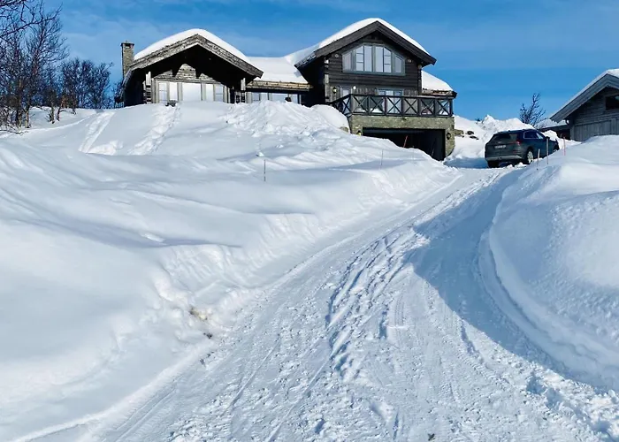 New, Cozy, And Comfortable Cabin In Geilo *
