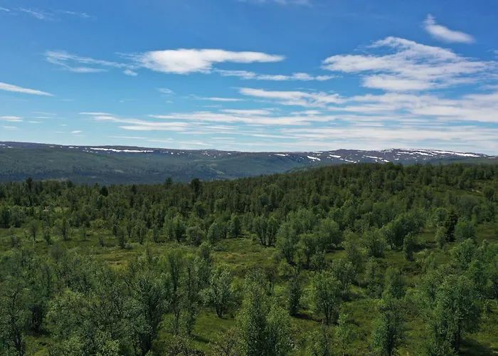 New, Cozy, And Comfortable Cabin In Geilo Nyaraló