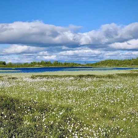Дом отдыха New, Cozy, And Comfortable Cabin In Geilo *
